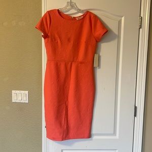 Juniors size large coral short sleeve dress. Gold zipper at back.